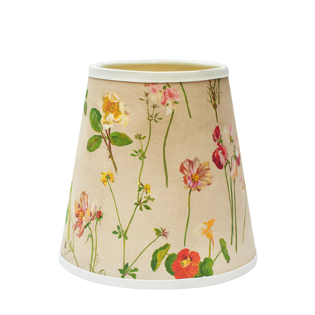 Collection Image