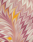 Pink and Yellow Star Anise